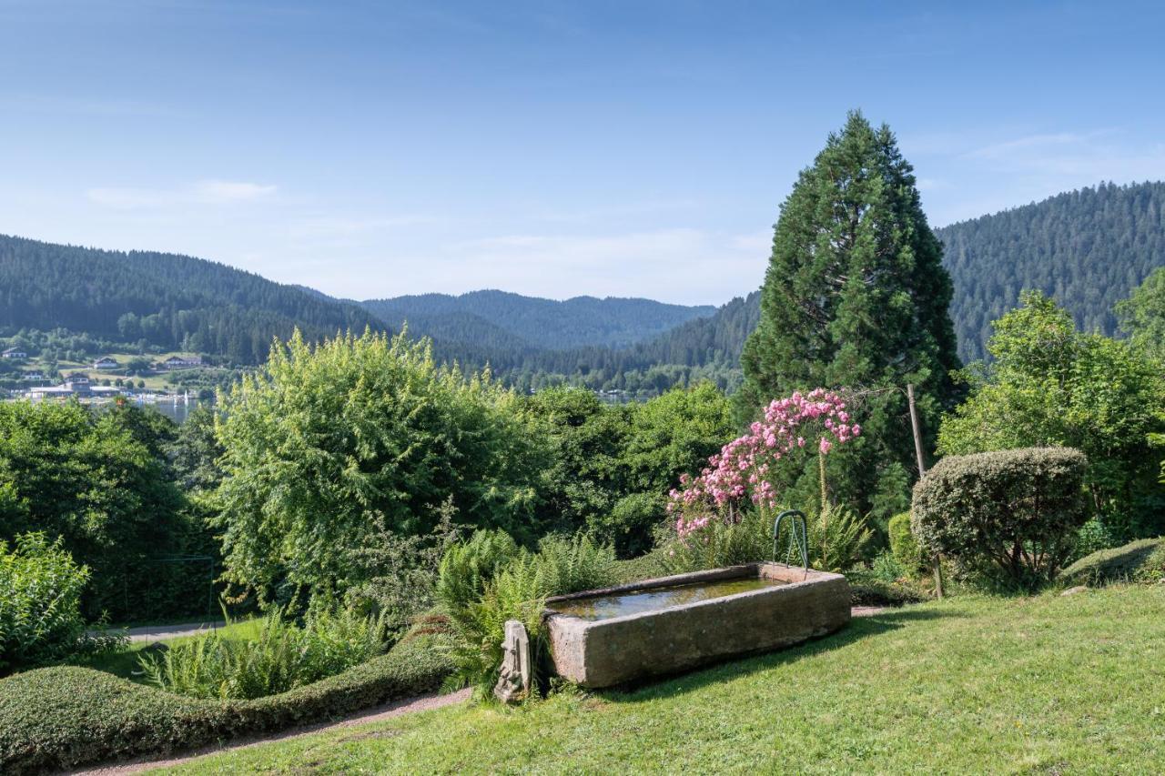 Le Manoir Au Lac Gérardmer Exterior foto