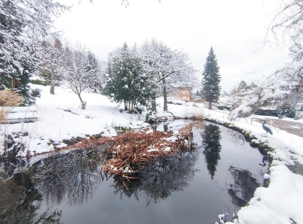 Le Manoir Au Lac Gérardmer Exterior foto